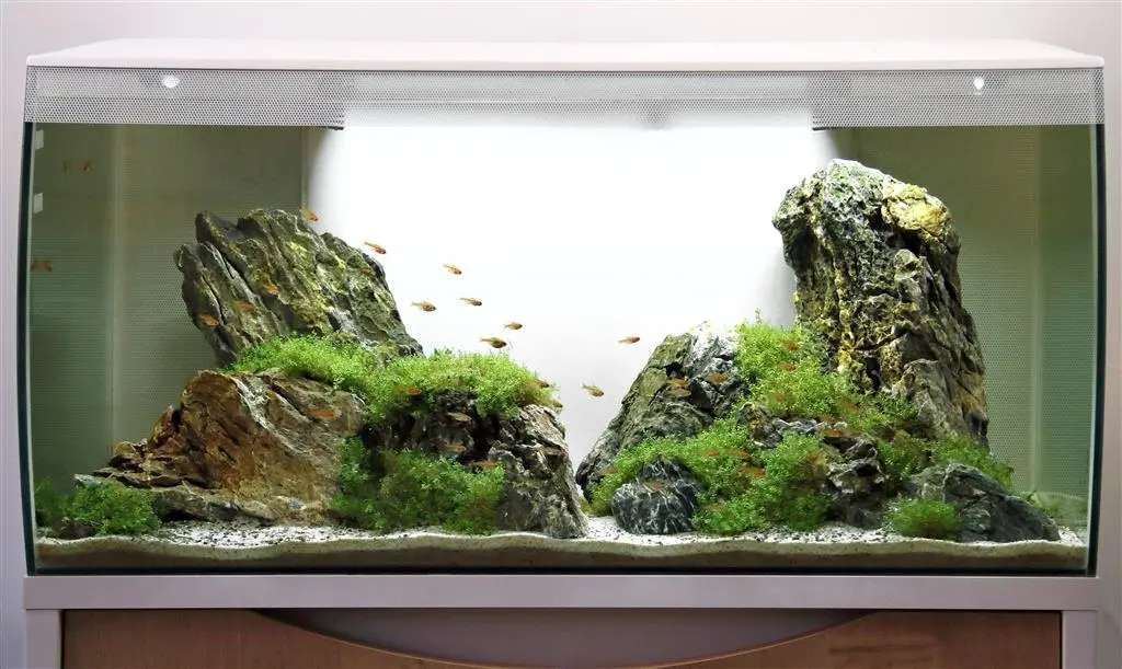 Fluval Flex akvarium 123 Liter Hvid