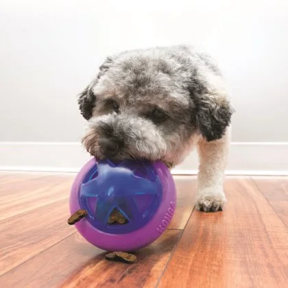 Hopz Ball Large - aktiveringslegetøj til hunde