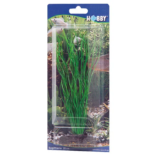 Hobby Sagittaria 20 cm