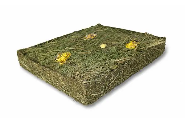 JR FARM Urteeng med Mælkebøtte