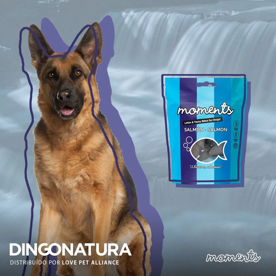 Moments hundesnack Laks 60 g - fuldfoder hundesnacks