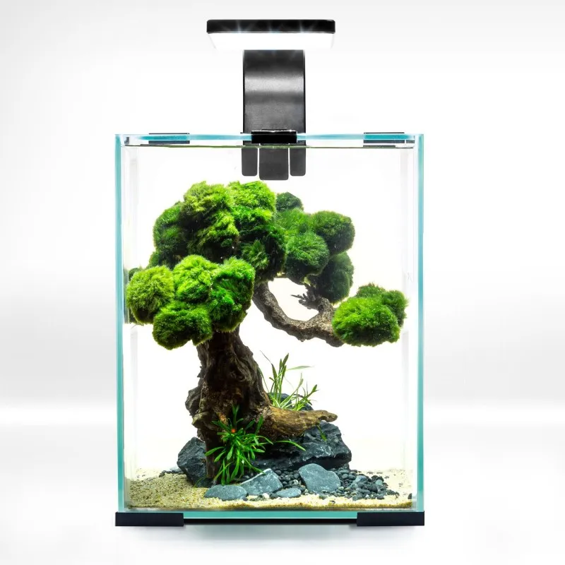 Shrimpset Day and Night 10 L 20x20x25 cm Sort