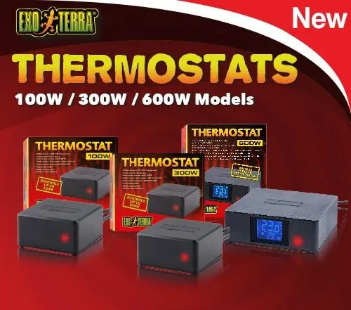 Exo Terra Thermostat 300 W