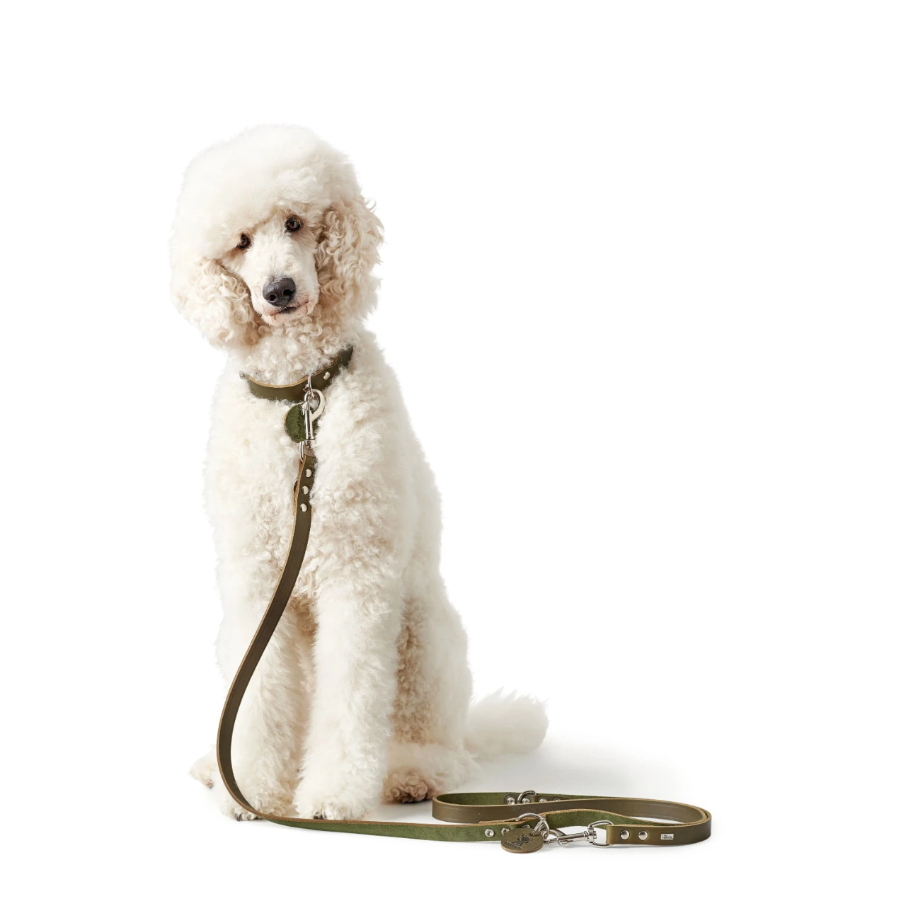 Hunter Aalborg Sport Oliven 52 hundehalsbånd - 38-47 cm
