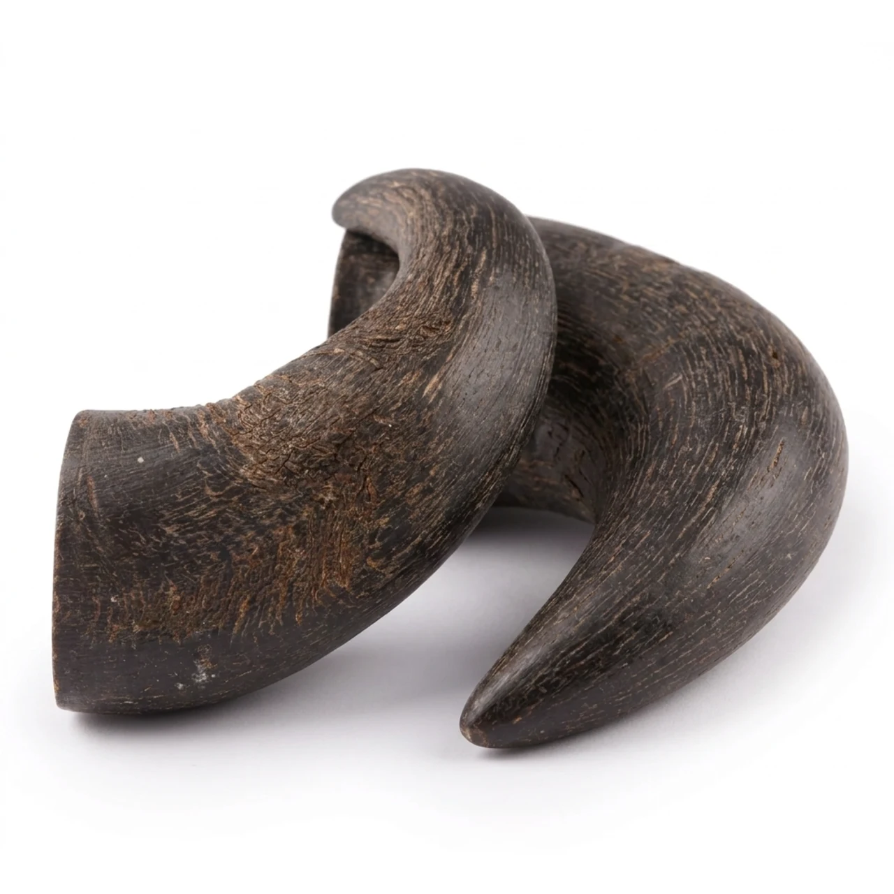 NATURE Snack Horn Small 2pcs Naturlige tyggeben til hunde