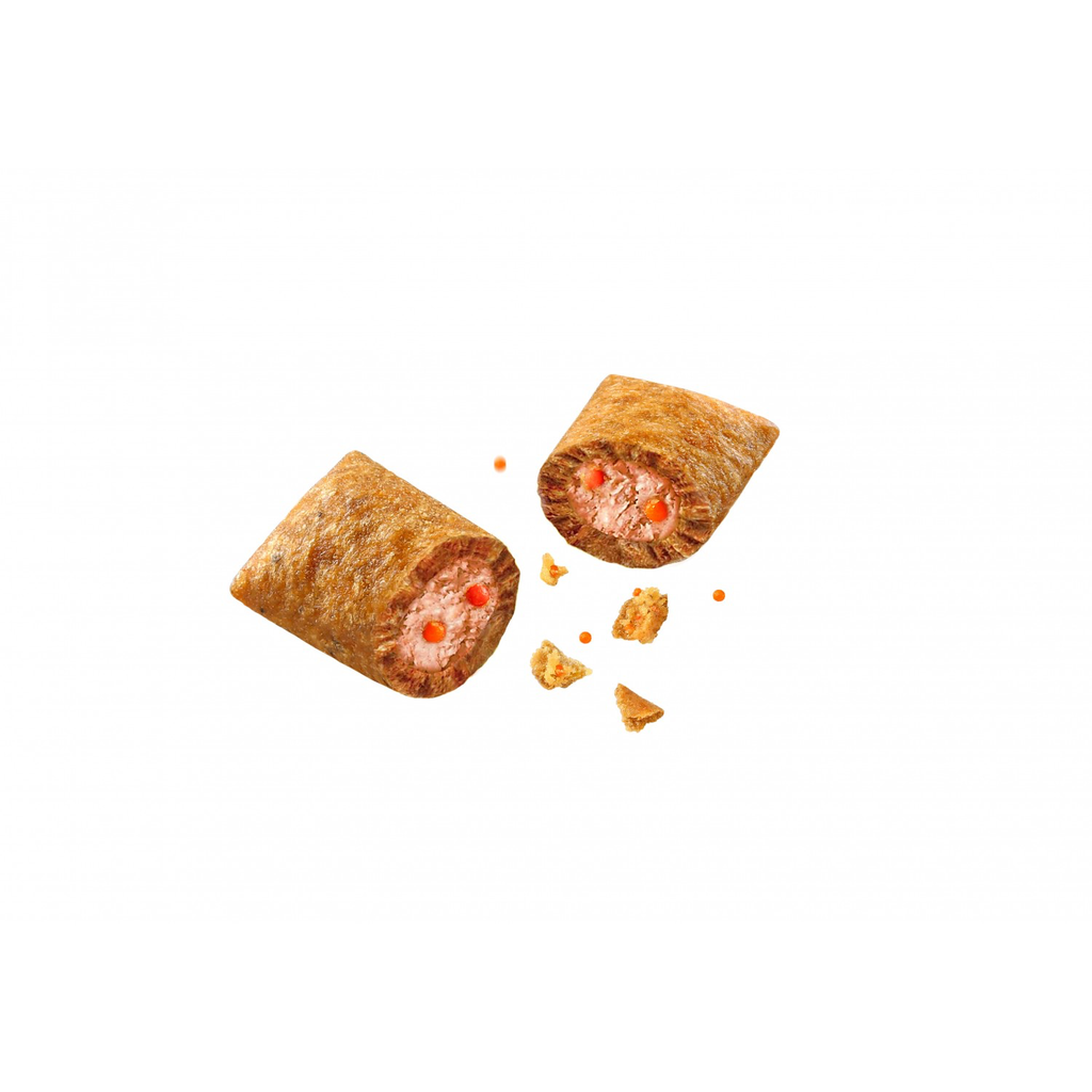 Wanpy Crunchy Pockets Salmon 60g