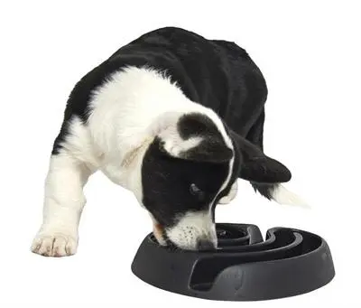 Buster dogmaze (sort)