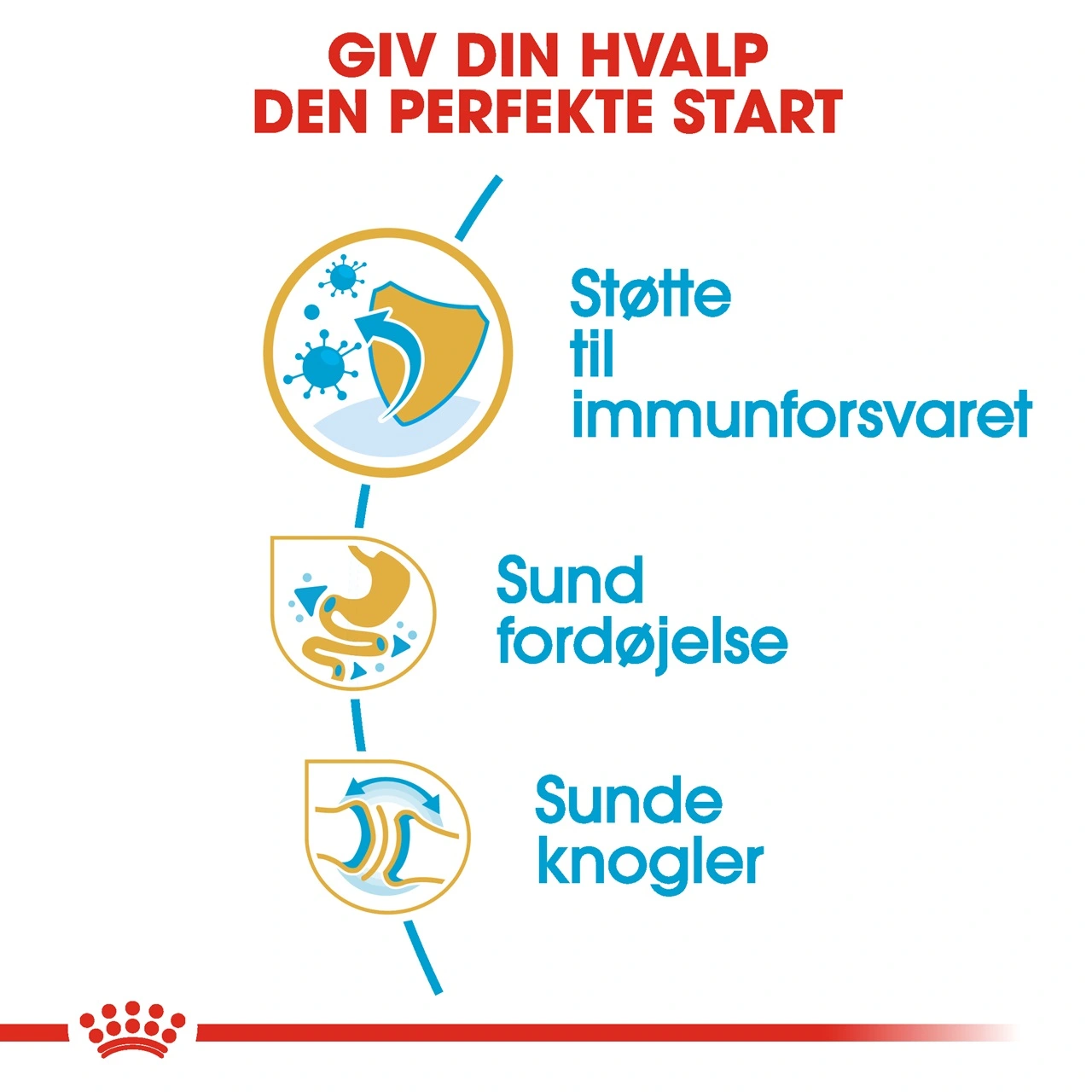 Royal Canin Bulldog Puppy 12 kg - tørfoder til hvalpe