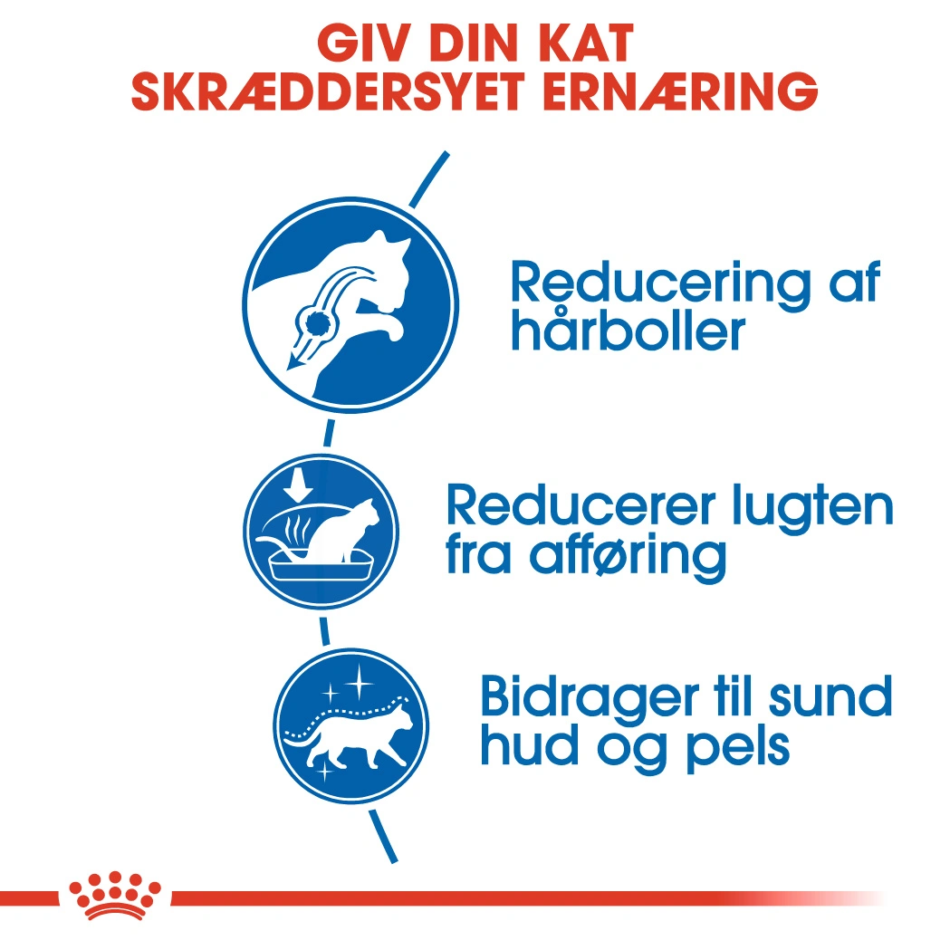 Royal Canin Home Life Indoor Long Hair 10 kg