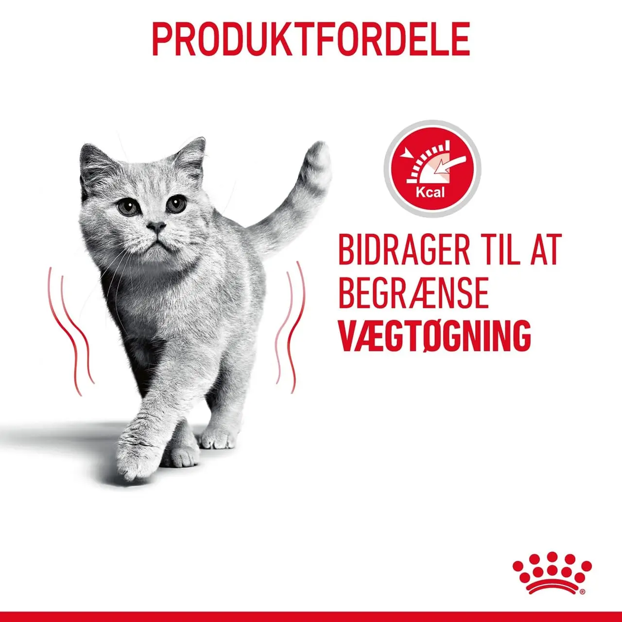 Royal Canin Light Weight Care 400 gram