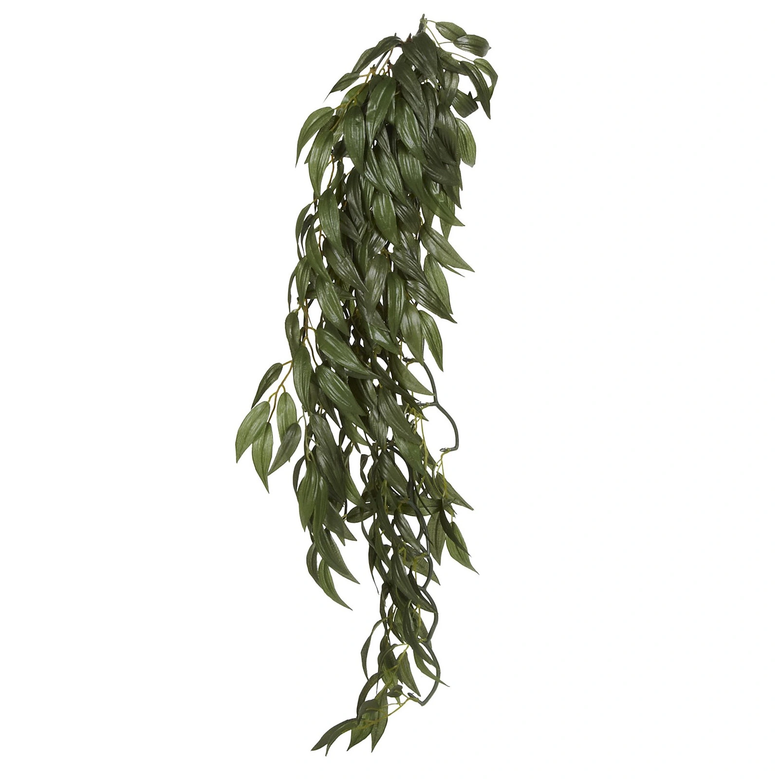 Exo Terra Ruscus stor