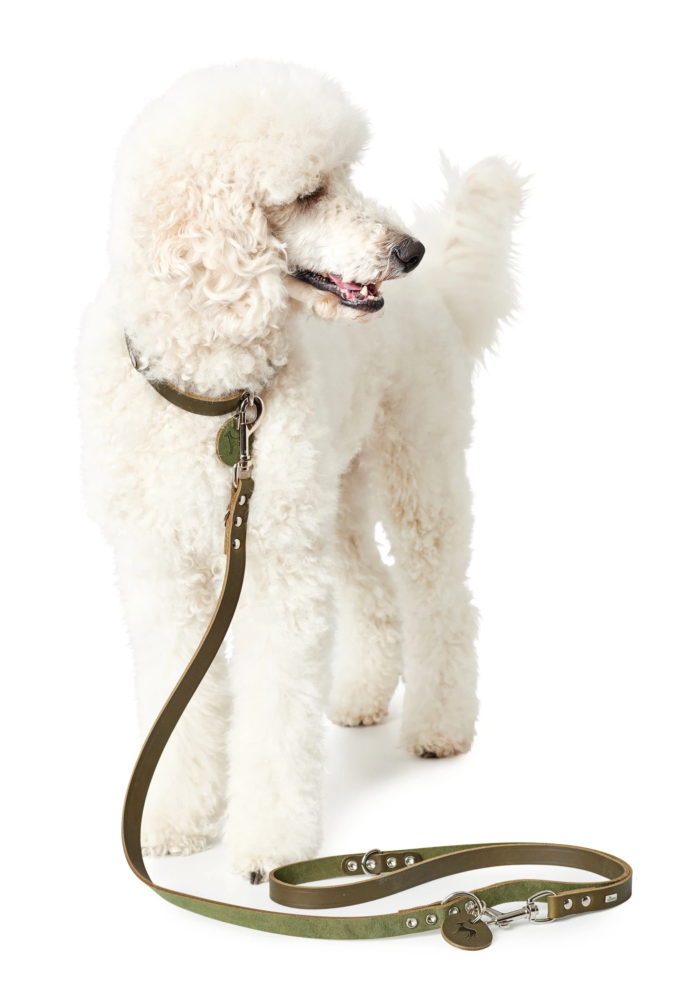 Hunter Aalborg Hundesnor Oliven 13/200