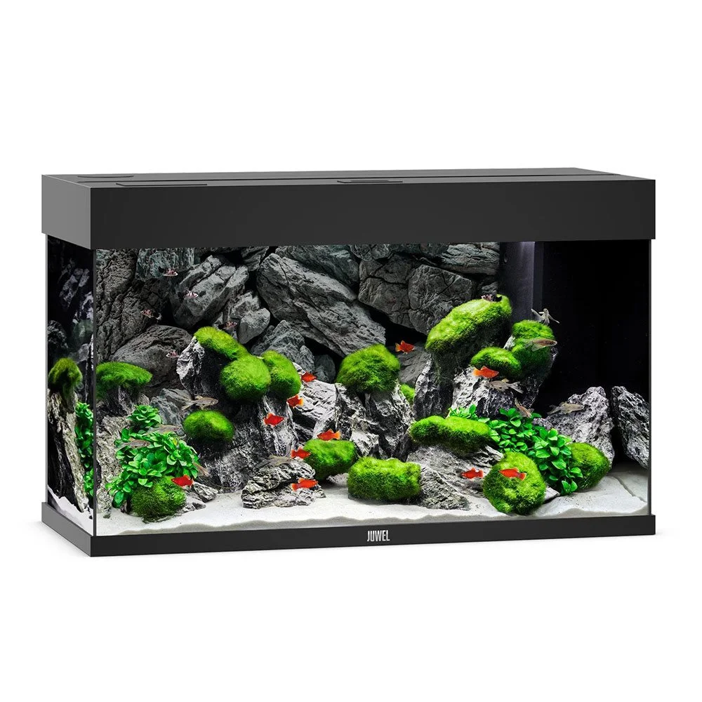 Juwel Akvarium Rio 125 Sort