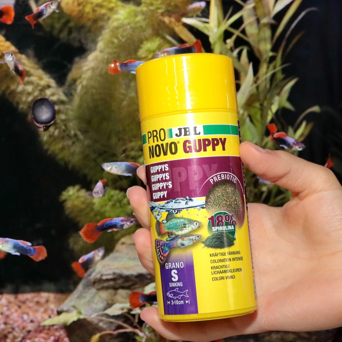 JBL ProNovo Guppy Grano S 250 ml Click
