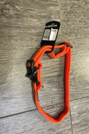 Petlando Hundehalsbånd i Neopren Orange M - let og komfortabelt hundehalsbånd