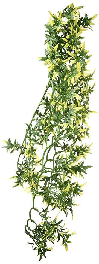 Exo Terra Croton stor