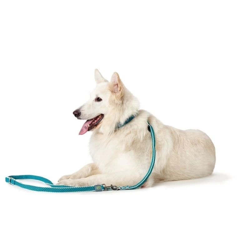 Hunter Hundesnor Hilo Turkis 25/200