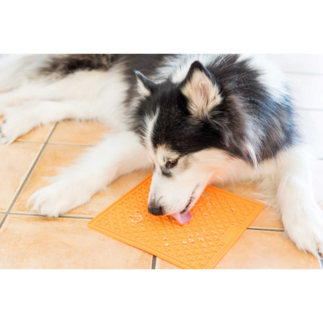 LickiMat Slikkemåtte 28 x 28 cm Orange - aktiveringsmåtte til hunde