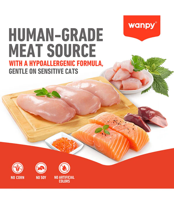 Wanpy Crunchy Pockets Salmon 60g