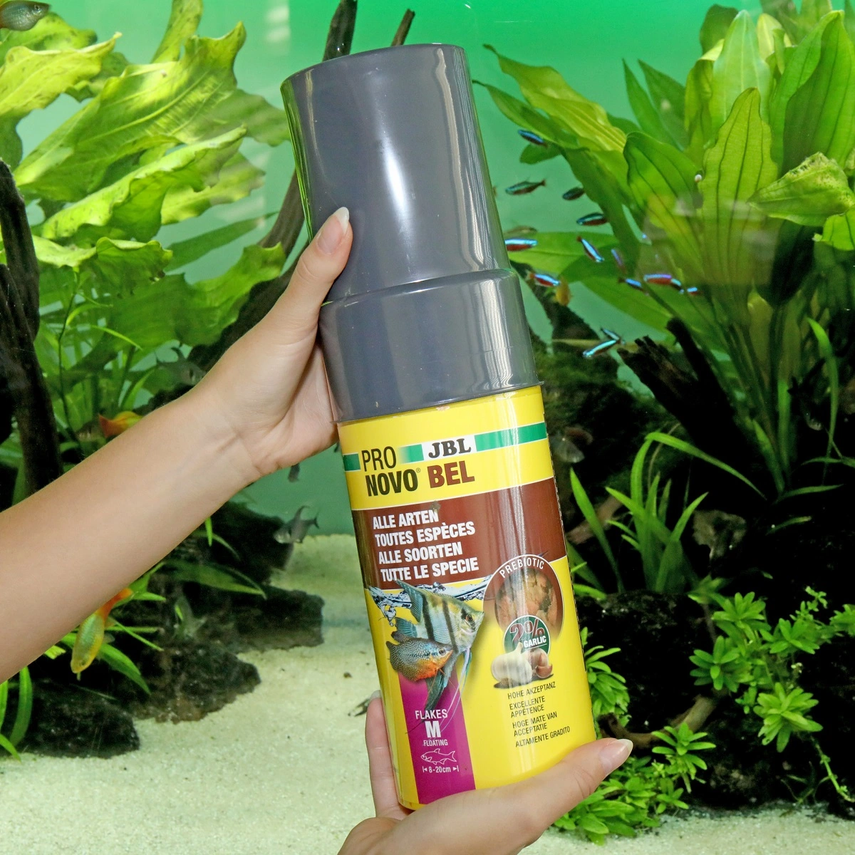 JBL ProNovo Bel fiskefoder opfyldning 750 ml Flagefoder
