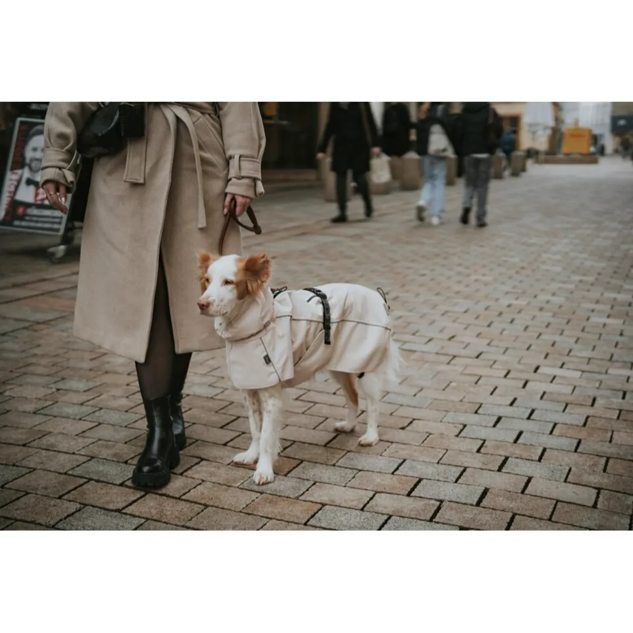 Hunter Nordby hundefrakke str 45 creme