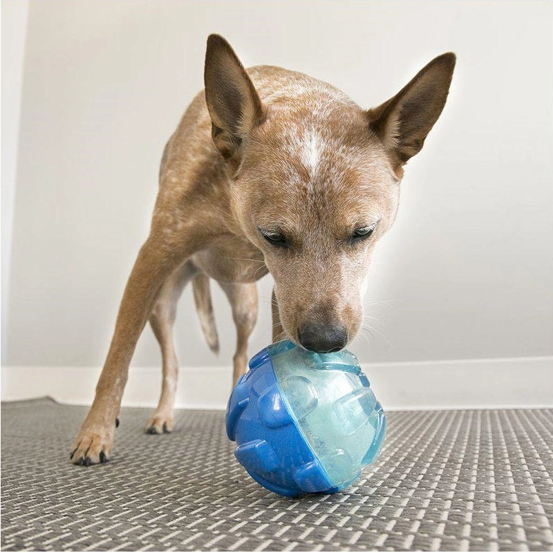 KONG Reward Ball Large 12 cm - snacklegetøj til hunde