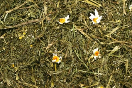 JR Kamilleurt 100 g