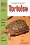 Guide to owning a tortoise