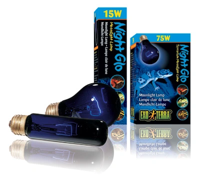 Exo Terra Night Glo 15 watt