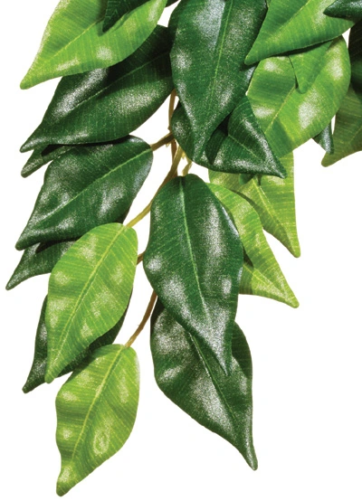 Exo Terra Ficus medium