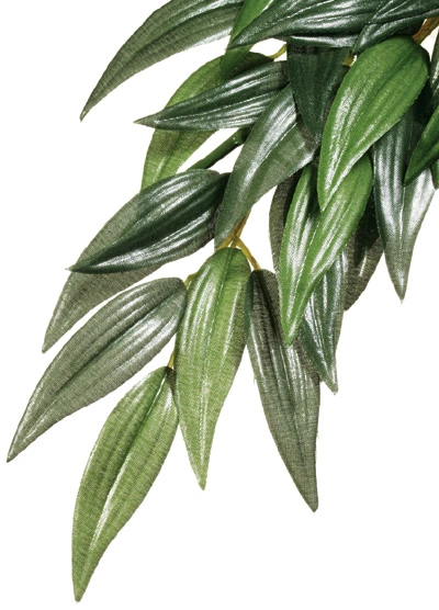 Exo Terra Ruscus medium