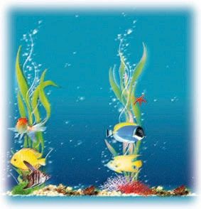 Sylvania AquaStar T5 54 watt
