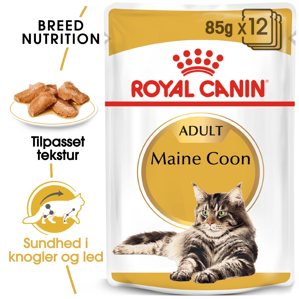 Royal Canin Maine coon Sovs - vådfoder 85 g