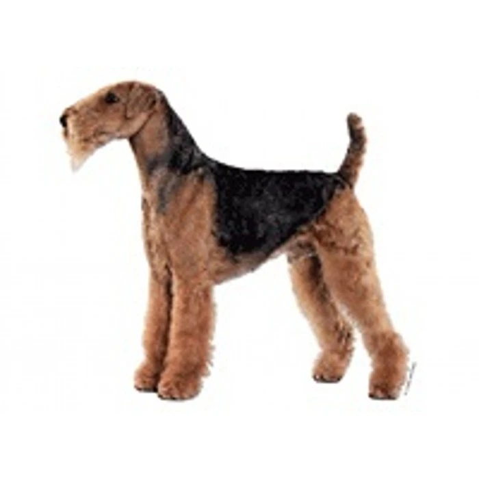 Klistermærke af Airedale Terrier Mini