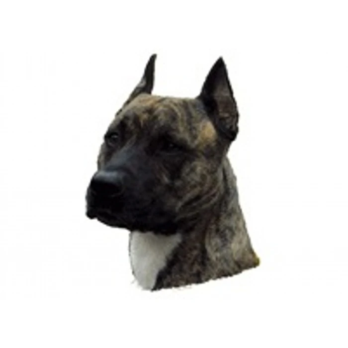 Klistermærke af Amerikansk Staffordshire Terrier Hvalp Hoved Mini