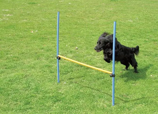Pawise Hunde Agility Hurdle 116 cm - justerbart spring