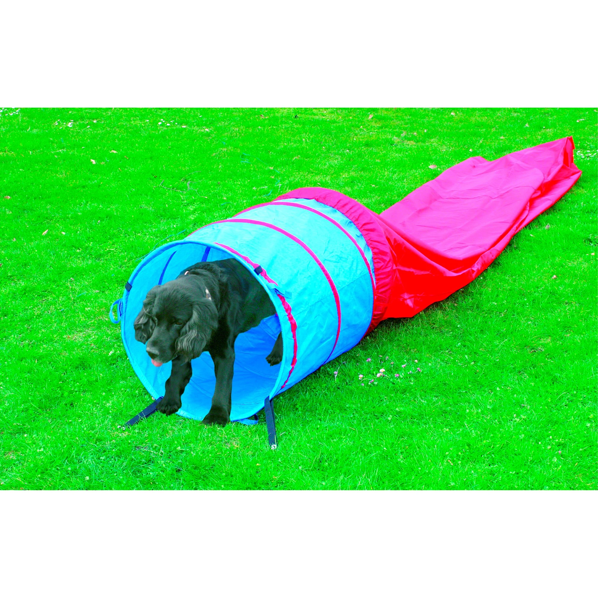 Pawise Hunde Agility Tunnel 5 m - lang træningstunnel