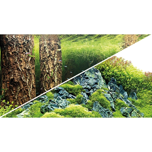 Baggrund til akvarium Scapers Hill og forest (50 cm høj) 100 cm