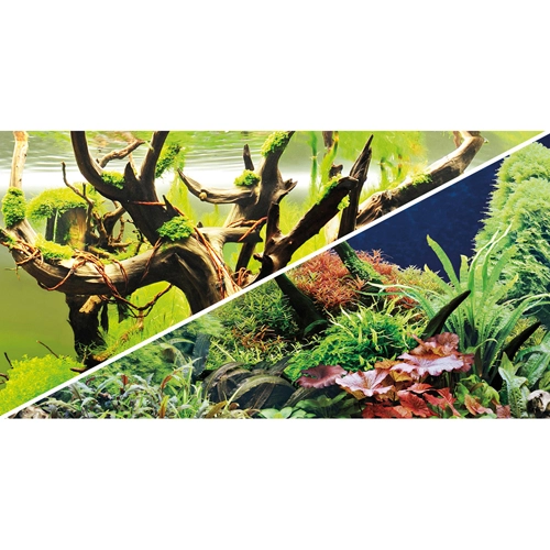 Akvariebaggrund Wood Island / Green secret (50 cm høj) 120 cm