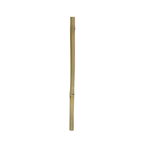 1 stk Gul bambus 100 cm Ø 2 - 3 cm.