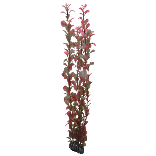 Hobby Ludwiga 60 cm