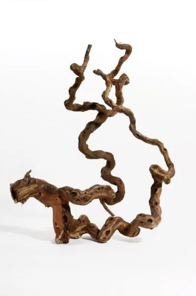 Vinrankerod 40-70 cm (Winewood)