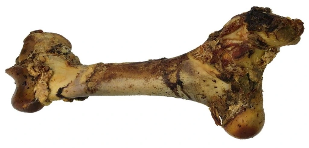 Tørrede okseben Gigant XL 40-50 cm - ekstra stort naturtyg