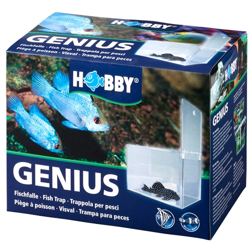 Hobby genius fiskefælde 21x13x15 cm