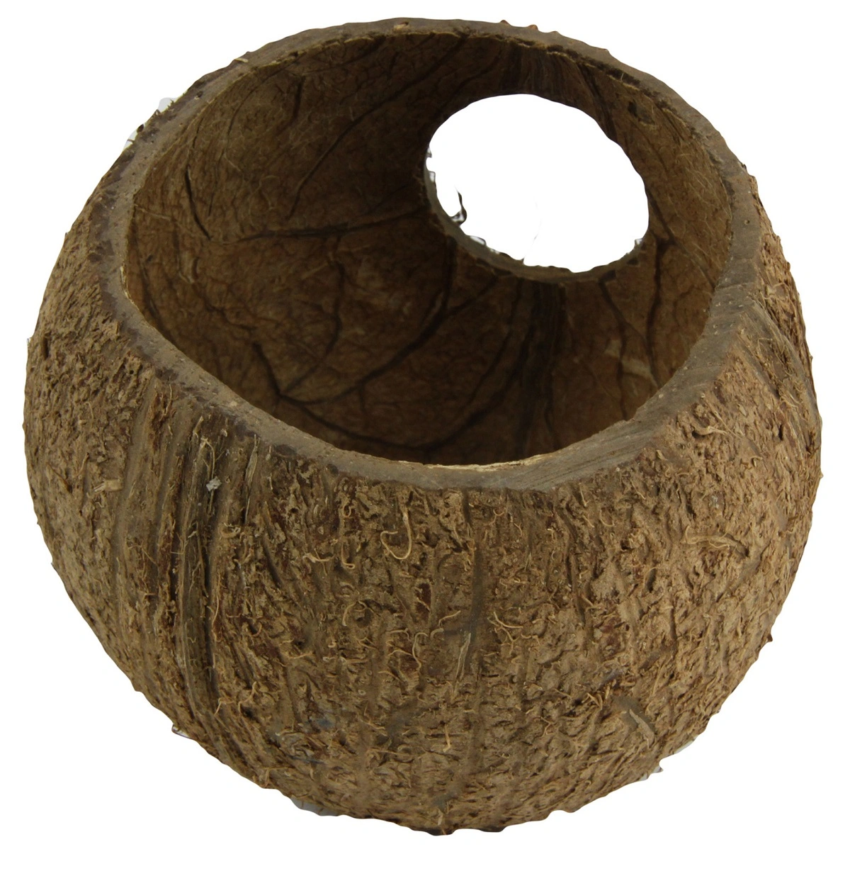 JBL Cocos Cava 3/4 hule