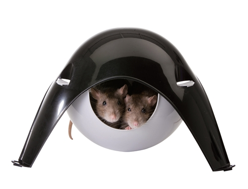 Sputnik til hamster og mus