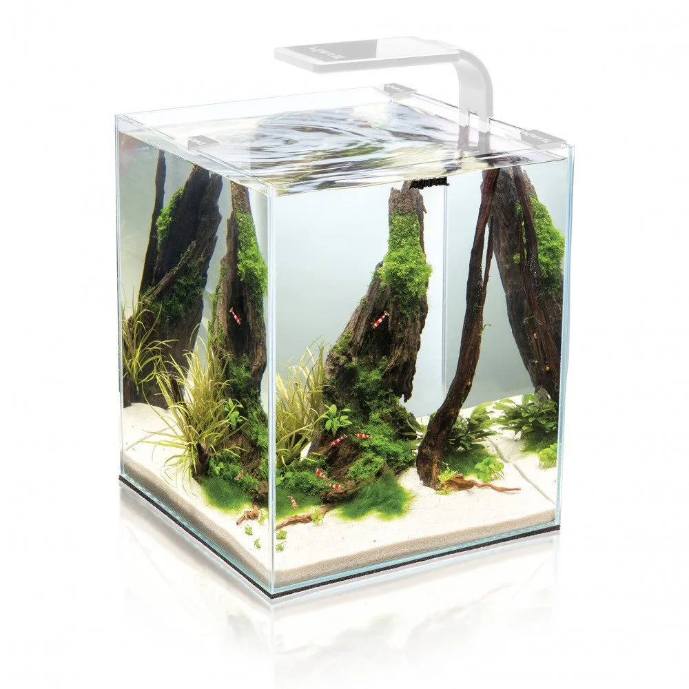 Shrimpset Day and Night 30 L 29x29x35 cm Hvid