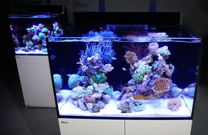 Red Sea Akvarium Max E-260 Hvid