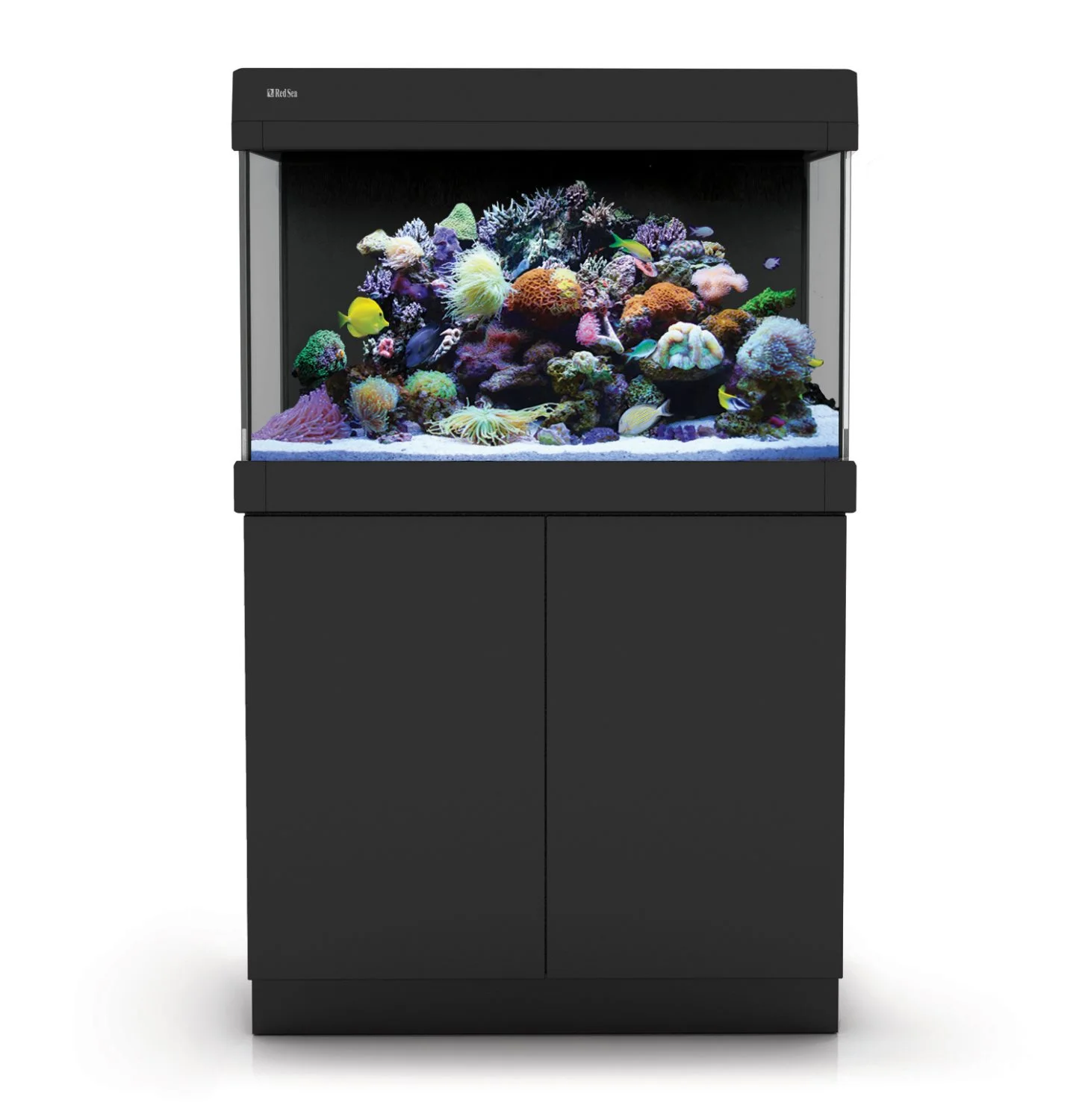 Red Sea Max C 250 Sort saltvandsakvarium