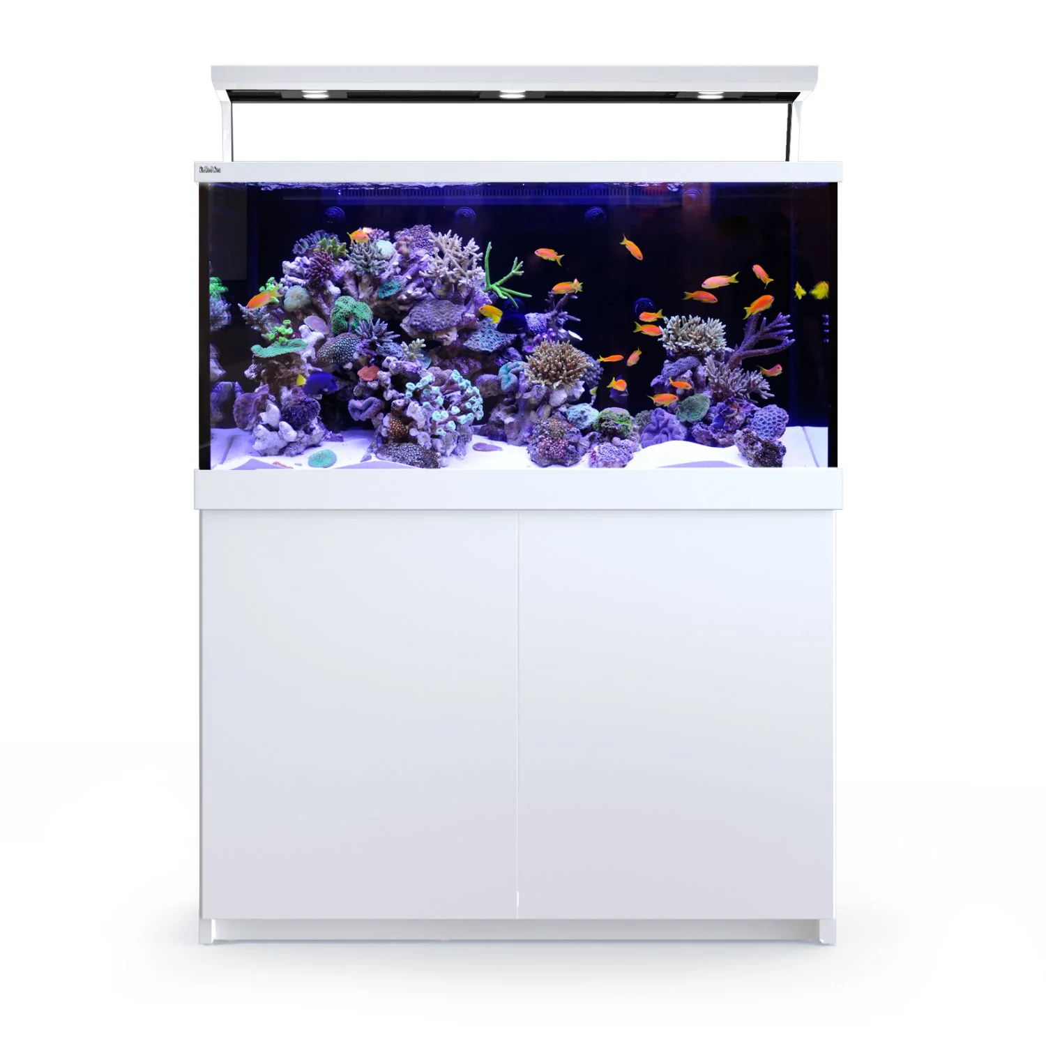 Red Sea MAX S-500 Liter Hvid G2